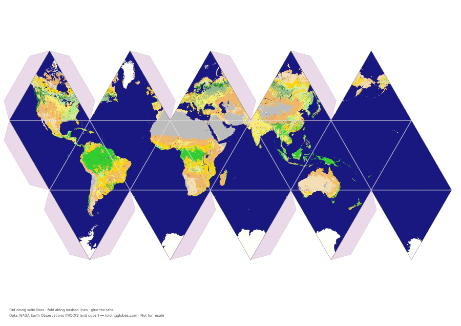 Biomes of the World folding globe net
